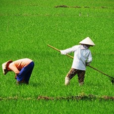 Between Song Cau and Dai Lanh