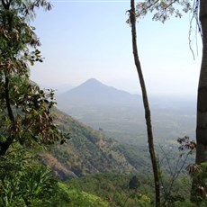 Between Tay Son and Dalat