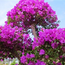 Dalat railway station