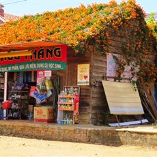 Between Dalat and Di Linh