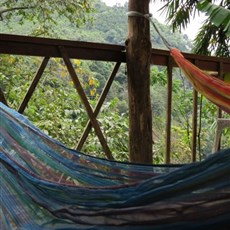 Between Di Linh and Phuong Lam