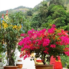 Between Di Linh and Phuong Lam