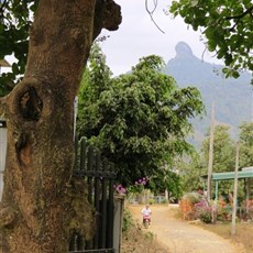 Between Di Linh and Phuong Lam