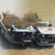 Between Go Cong and Ben Tre
