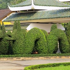 Between Ben Luc and Go Dau