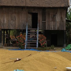 Between Kampong Thom and Kampong Kdei