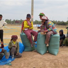 Between Kampong Thom and Kampong Kdei