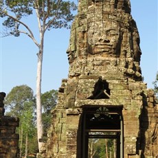 Ta Prohm - Siem Reap