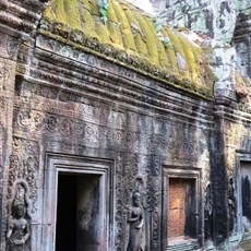 Ta Prohm - Siem Reap
