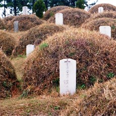 Traditional Catholic graveyard