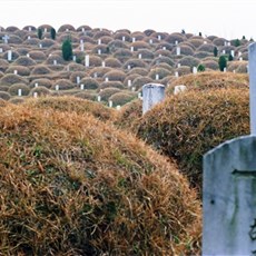 Traditional Catholic graveyard