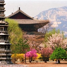 Seoul palace