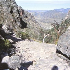 Inca trail