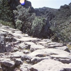 Inca trail