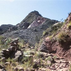 Inca trail