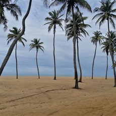 Cotonou to Ouidah