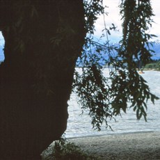 Lake Wanaka