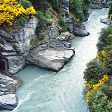 Shotover Gorge