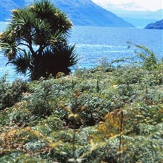 Between Lumsden and Queenstown