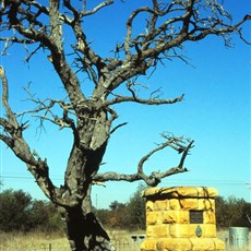 Moorddrif memorial