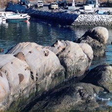 Tatsukushi - Shikoku