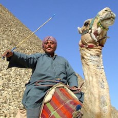 Giza