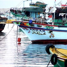 Alexandria